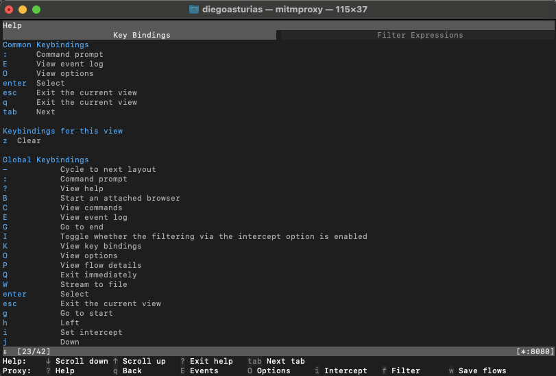 using mitmproxy